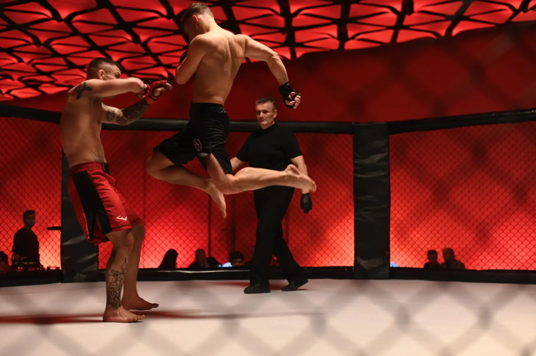 netflixove-premiery-na-cervenec-dockaji-se-divaci-serialu-biohackers-fanousci-romanci-od-jojo-moyesove-i-milovnici-hororu-a-totalne-ujetych-reality-sou