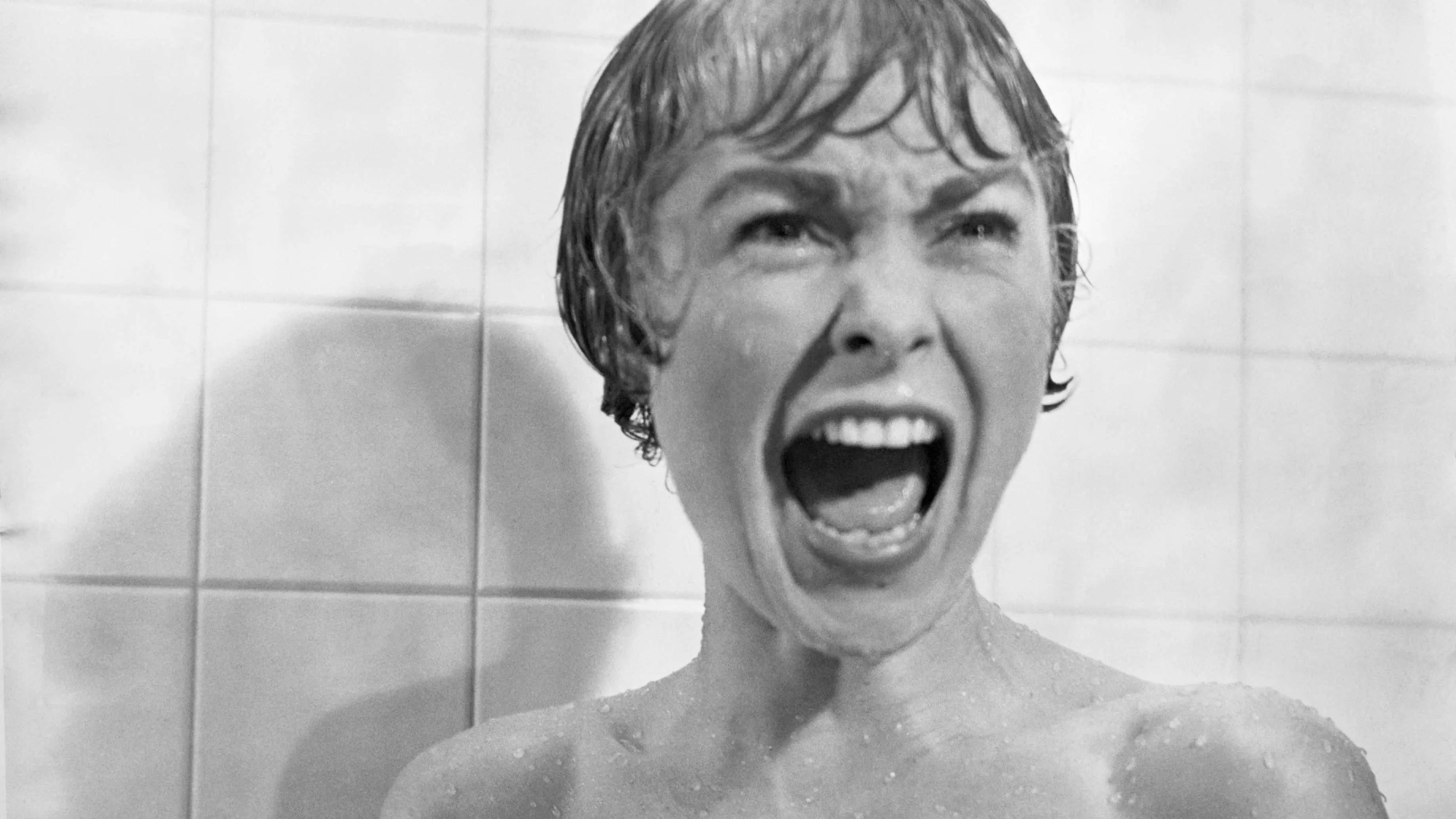 Psycho Alfreda Hitchcocka: Nejděsivější scéna pro dobové cenzory? Žádná vražda ve sprše, ale záběr na splachující záchod