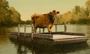 Recenze: První kráva ukazuje neutěšené westernové prostředí plné bídy, hladu a zoufalých lidských činů