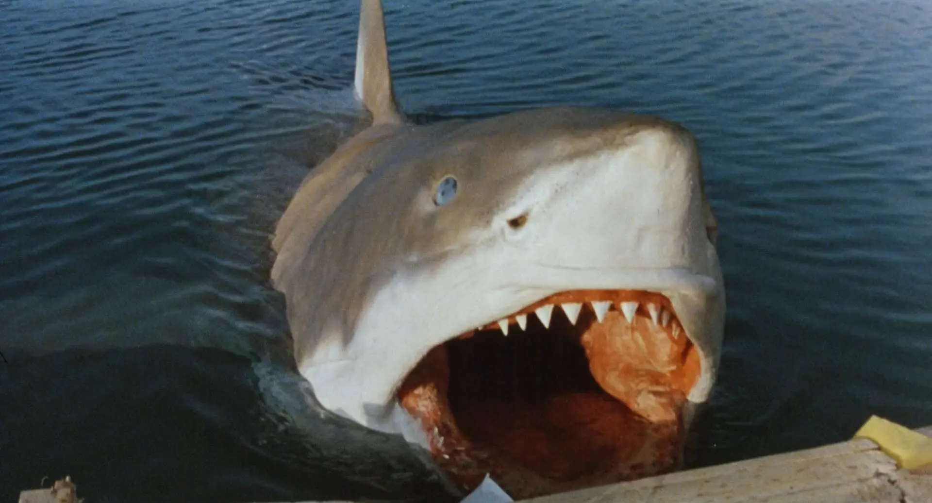 Čelisti: Neoficiální pátý díl série kradl všude možně a je jedním z nejvysmívanějších filmů všech dob.