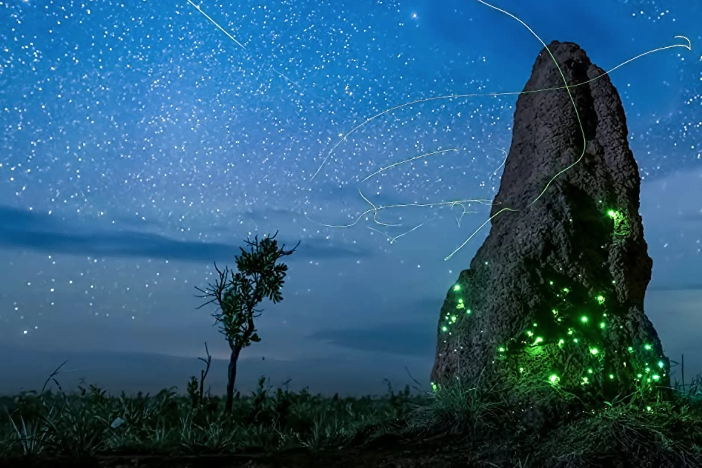 Noční planeta v živých barvách