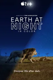 Noční planeta v živých barvách