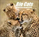 Velké kočky: Úžasná zvířecí rodina