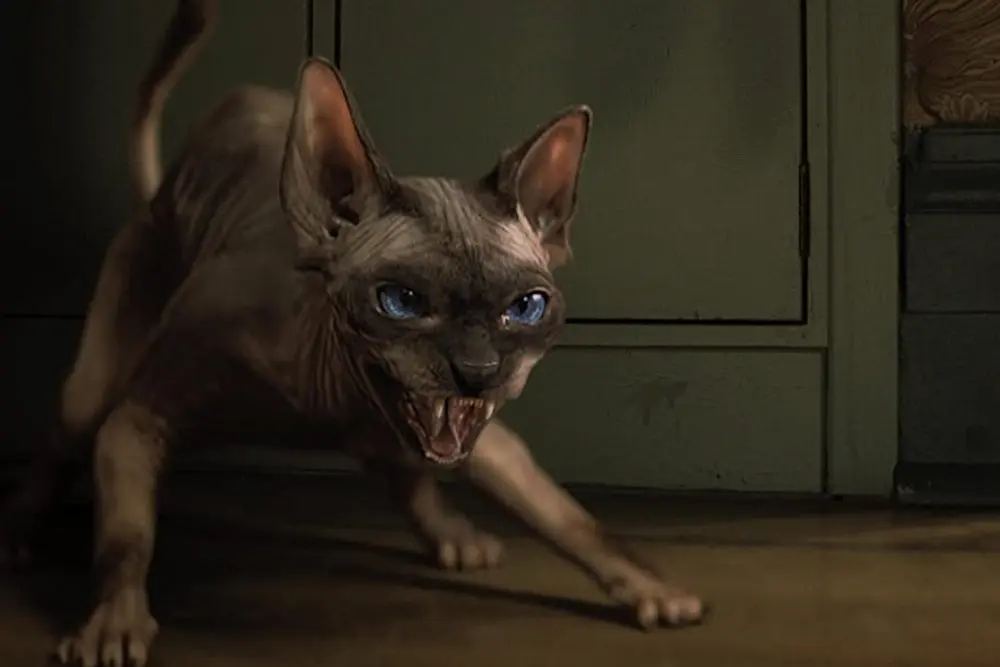 Strašidelné příběhy na dobrou noc