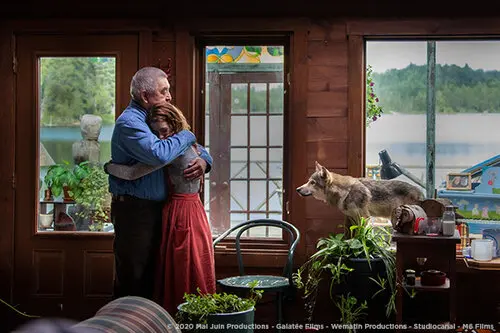 Vlk a lev: Nečekané přátelství