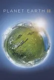 Zázračná planeta II