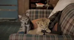 Vlk a lev: Nečekané přátelství: Trailer