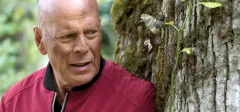 Že by měl Bruce Willis po letech dobrý film? V akční novince Apex hraje kořist, která zatopí svým lovcům