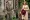 Brooke Shields - Vánoční hrad (2021), Obrázek #4
