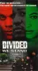 Divided We Stand