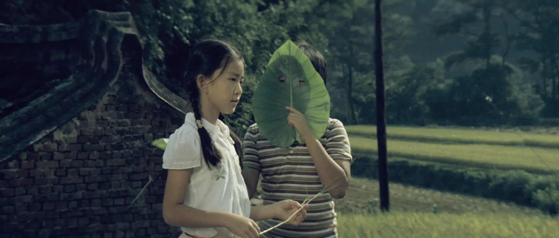 Zelená tráva na břehu řeky