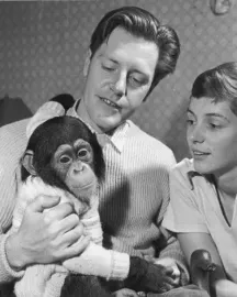 Durrellovi: Jak to bylo dál