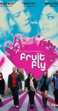 Fruit Fly