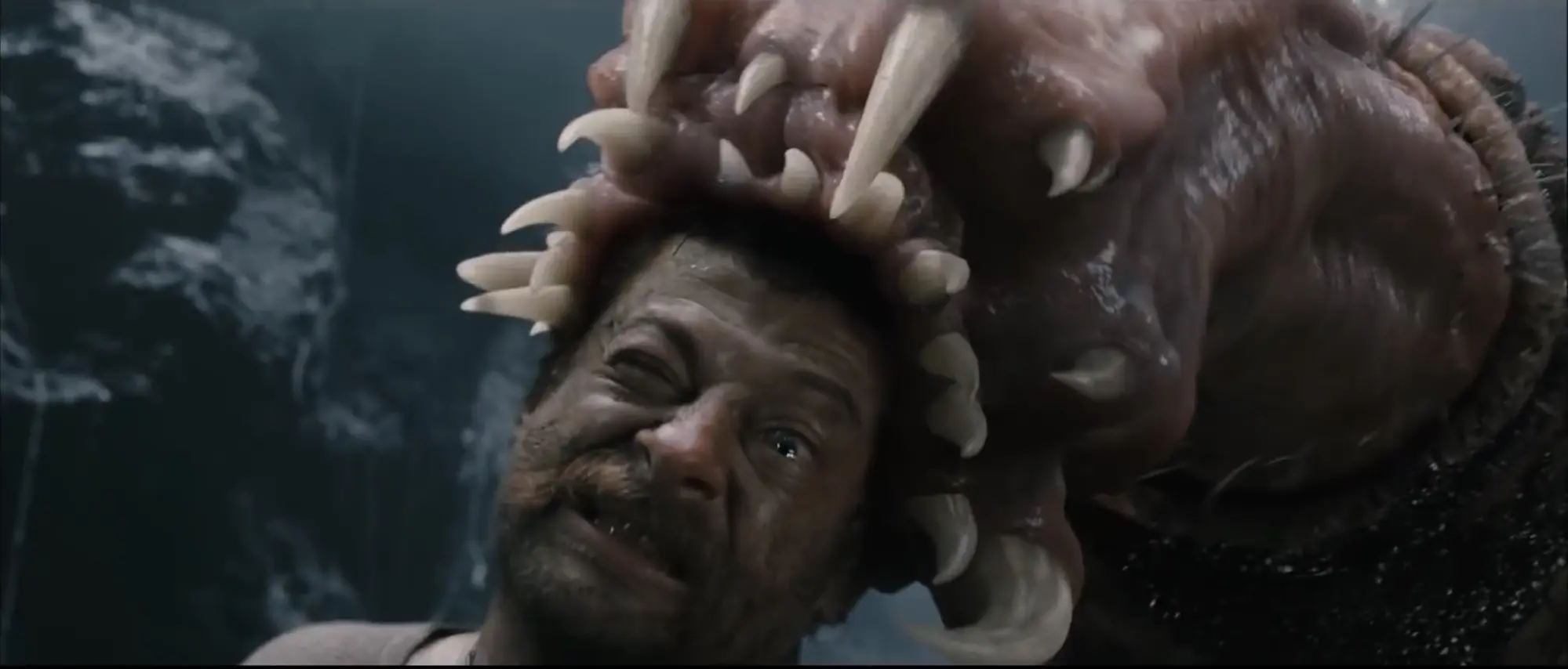 utopen-v-bazinach-a-pozren-zralokem-filmova-umrti-ktera-nas-v-mladi-traumatizovala-8