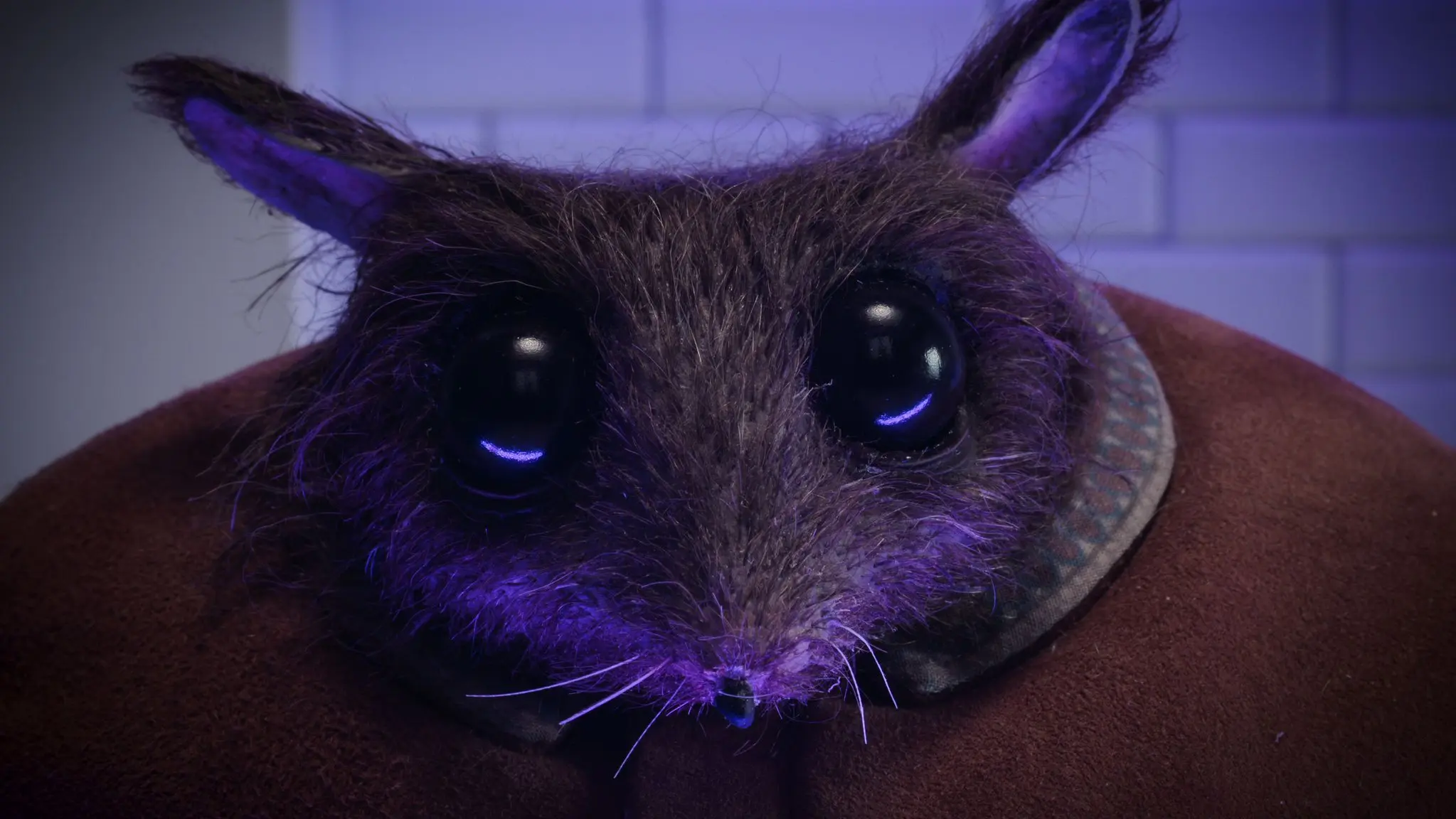 dum-jako-symbol-pohodli-i-emocniho-vezeni-animak-the-house-je-plny-hlubsiho-sdeleni-a-metafor-1