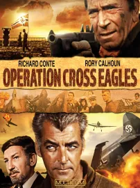 Operation Cross Eagles