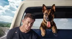 Může být film o tom, jak Channing Tatum veze fenu belgického ovčáka na pohřeb, v něčem dobrý? Komedie Pes dokazuje, že ano!