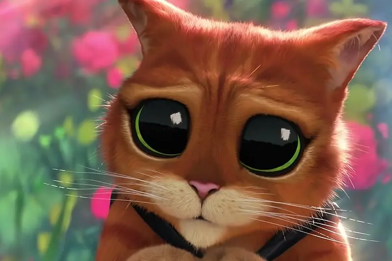 Kocour v botách: Poslední přání