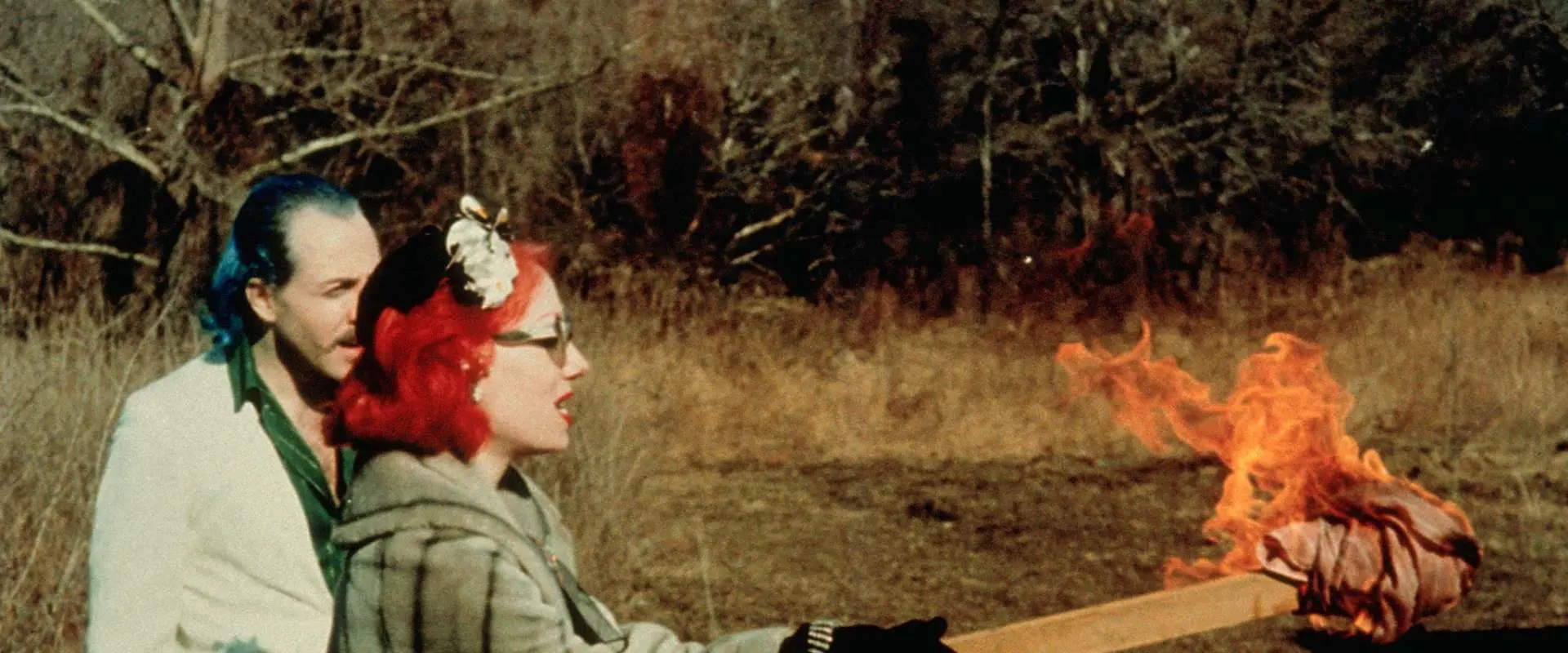 Růžoví plameňáci