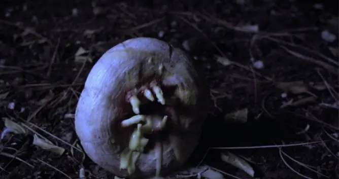 Attack of the Killer Donuts