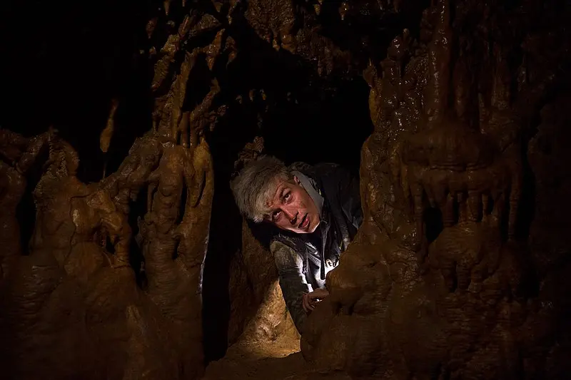 Kam motýli nelétají