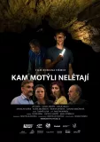 Kam motýli nelétají