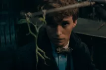 Eddie Redmayne