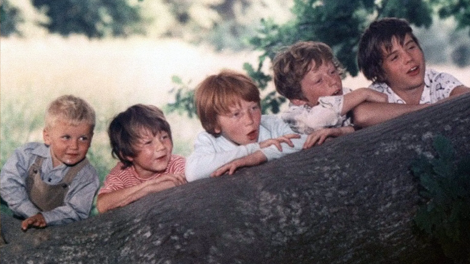 Kvíz: Máte rádi Ať žijí duchové!? Otestujte si, jak dobře legendární pohádku znáte