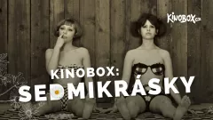 Kinolog: Nejslavnějším československým filmem v zahraničí jsou Sedmikrásky
