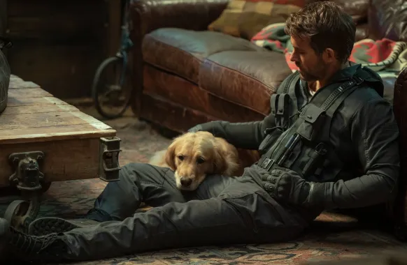 Nejlepší rodinné filmy na Netflixu: pejskové, lvi, mexický sirotčinec i modrý ježek