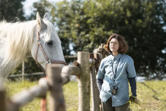 Buko od Alice Nellis by snadno mohl zapadnout, pod jeho povrchem však dříme velké drama