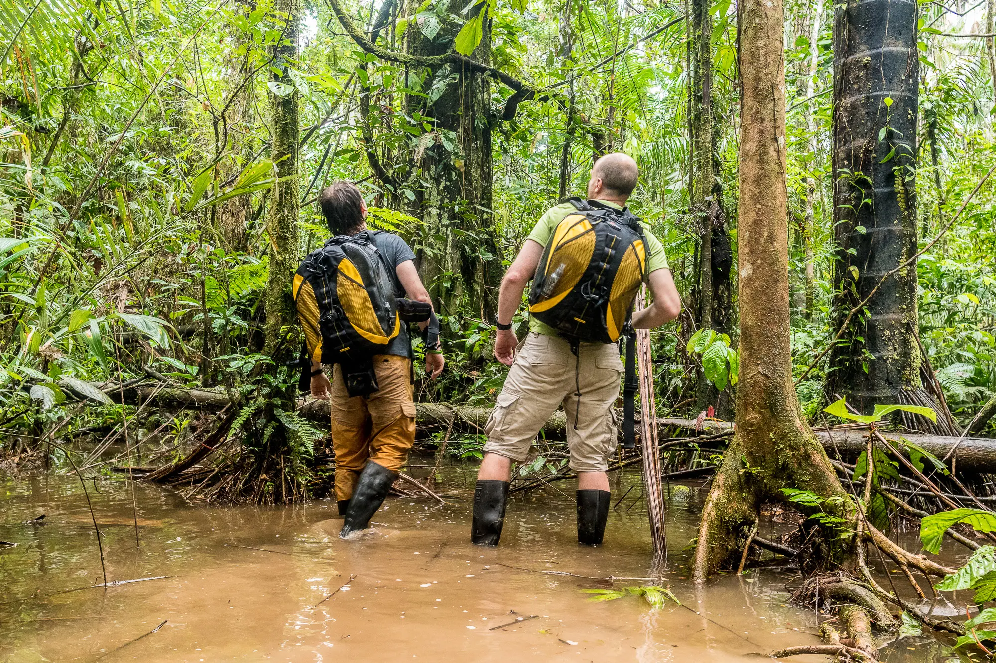 Civilizace – Dobrá zpráva o konci světa