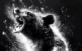 Trailerová nálož týdne: Příběh medvěda sjetého kokainem, který vychází ze skutečné události, aspiruje na šílenost roku