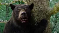 Medvěd na koksu: trailer