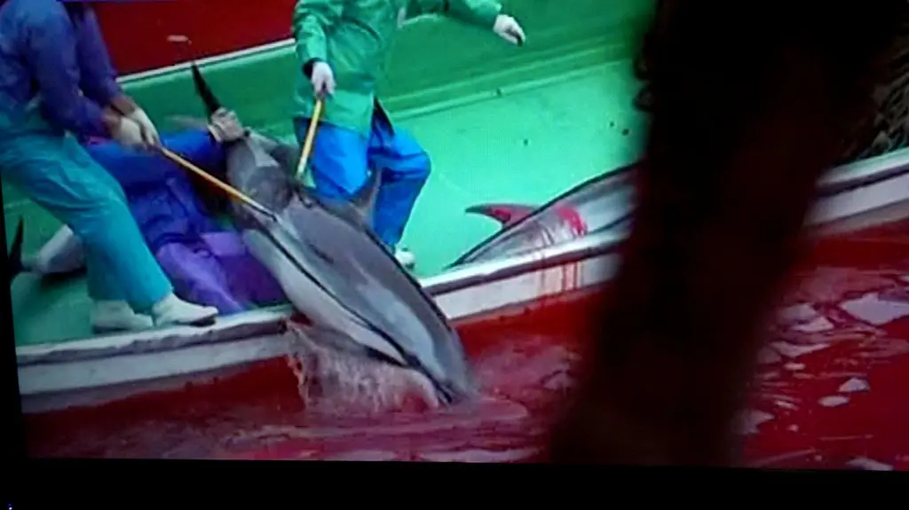 avatar-2-nebudi-pouze-uzas-ale-i-kontroverze-camerona-pranyruji-za-zlehcovani-kolonizace-a-zotroceni-delfinu-1