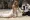 Josh Duhamel - Svatba na odstřel (2022), Obrázek #2