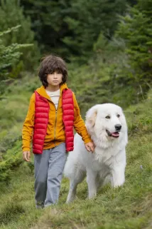 Robinson Mensah Rouanet