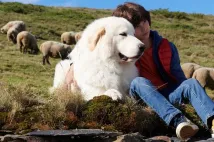 Robinson Mensah Rouanet