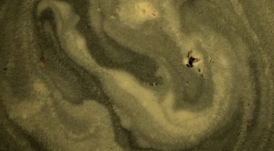 vcelarstvi-a-apokalypsa-dokument-vsechno-dobre-dopadne-je-o-souziti-navzdory-klimaticke-zmene-1