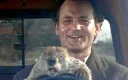 Bill Murray se zasekl v čase před 30 lety. Na Hromnice o den více je komplikovanější film, než se zdá