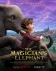 Kouzelníkova slonice