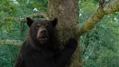 5 medvědích filmů, které tnou do živého. V děsivém cupování turistů se vyžívala i chlupatá herecká hvězda