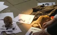 Krysař (2003): Film o filmu