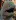 Hledání křišťálového světa - 1. Ošklivá kráska muréna