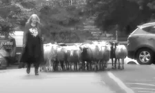 Zuzana Michnová a hosté (2012)