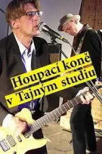 Houpací koně v Tajným studiu