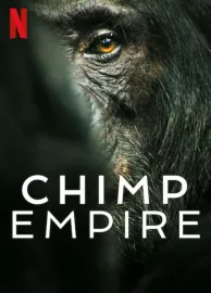 Šimpanzí říše