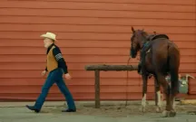 One Day as a Lion (2023)