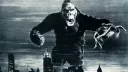 Do hlubin opičákovy duše. King Kong se vzepřel rasistickému sexu s gorilami
