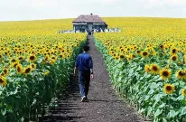 Naprosto osvětleno: trailer